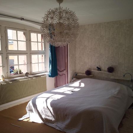 Appartement Le Baudinot à Sélestat Extérieur photo